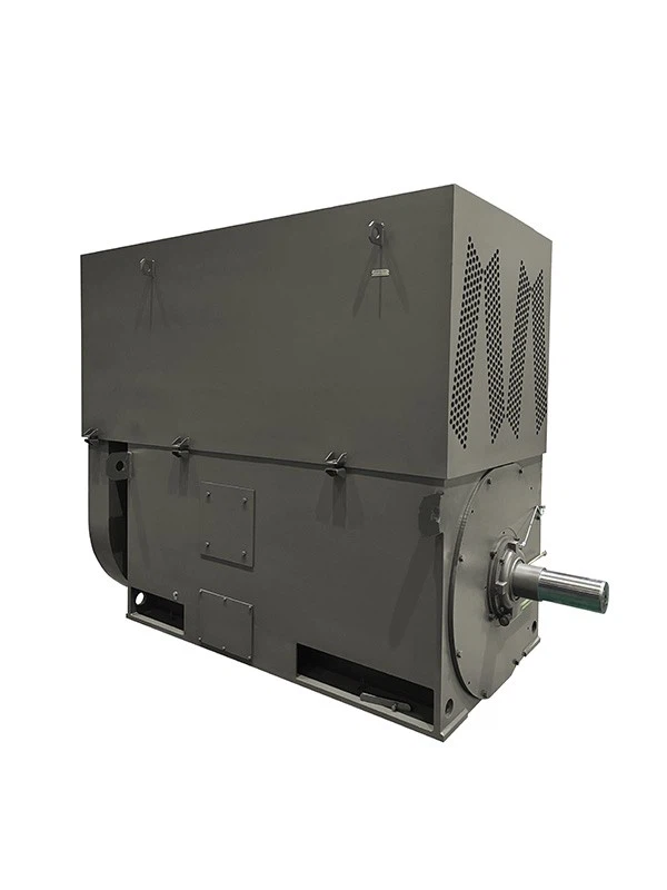 High Voltage Ac Power Plant Motor